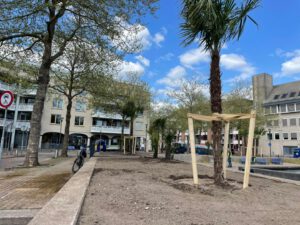 Palmbomen_houten_klaar2