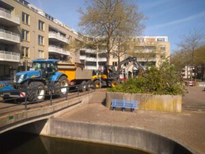 palmbomen_houten_werk1