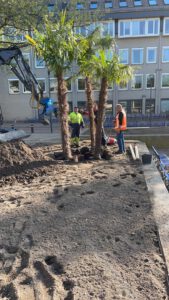 palmbomen_houten_werk10