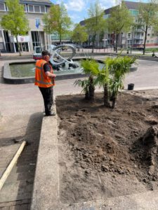 palmbomen_houten_werk11