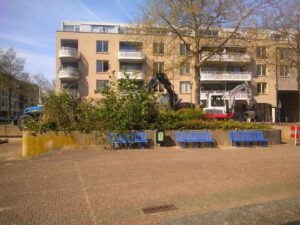 palmbomen_houten_werk2