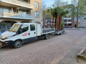 palmbomen_houten_werk9